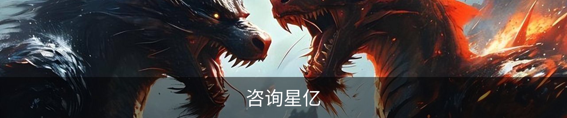 咨询星亿